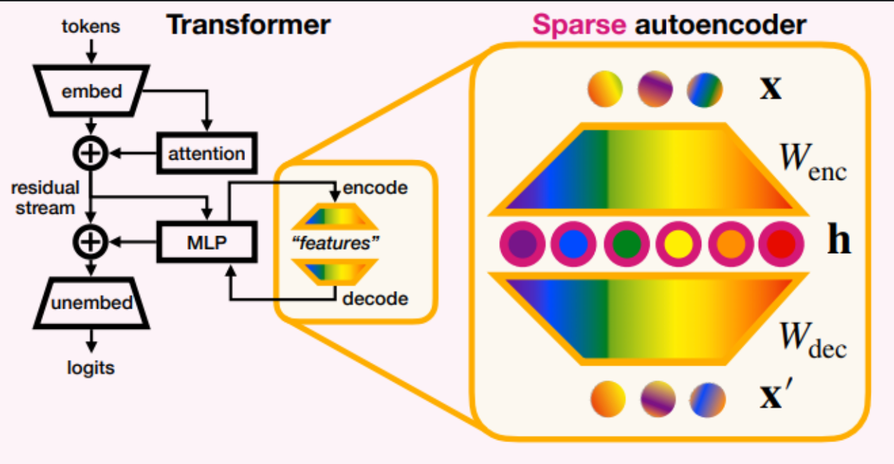 Sparse Autoencoder Research